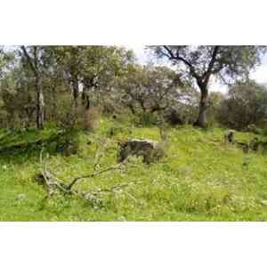 Click para ampliar. Pulsa en el nombre para ver la ficha. BARCARROTA - Tumulo dólmen de Enmedio . Badajoz